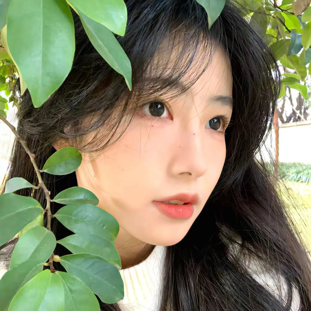 月与莱卡与吸血公主